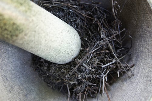 Image of HOLY BASIL spagyric tincture - alchemically enhanced plant extraction