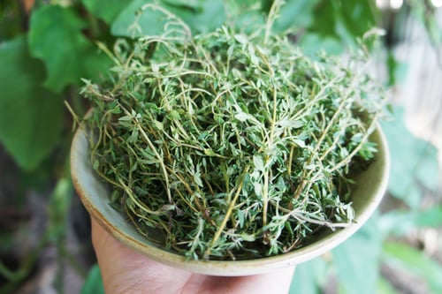 Image of THYME spagyric tincture - alchemically enhanced plant extraction