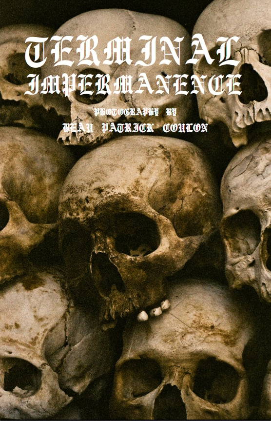 Image of TERMINAL IMPERMANENCE