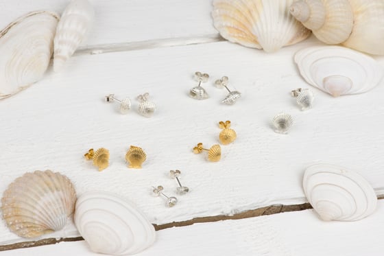 Image of Silver Sea Shell Studs 