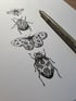 Illustration originale « Insectes » (encadrée)  Image 4