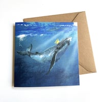 Image 5 of Underwater - Set of 4 Luxury Greetings Cards