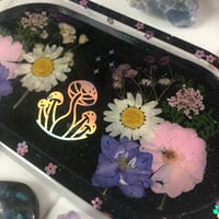 Image 3 of Trays