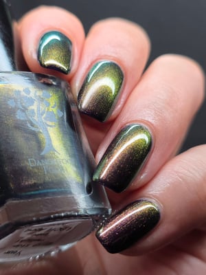 Image of Little box of Horrors