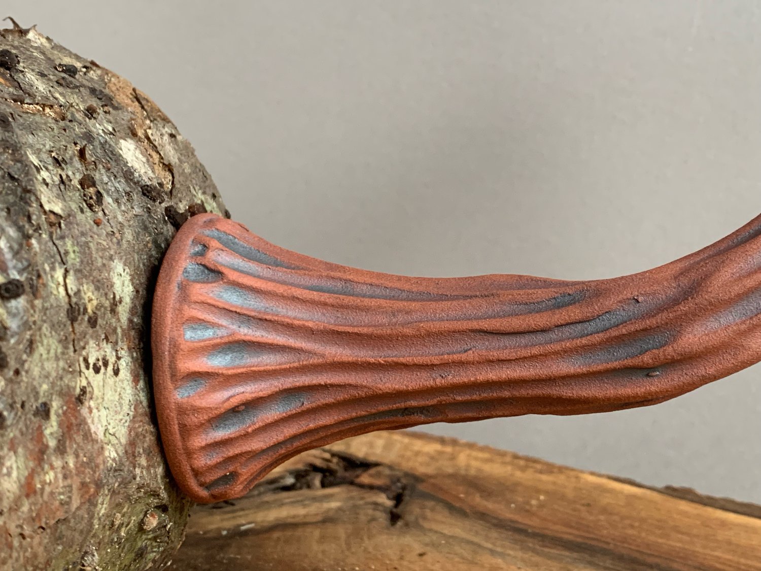 Image of Olive Wall Mushroom 