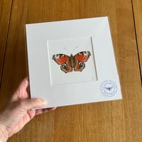 Image 4 of Various 9x9 Butterfly Giclee Prints