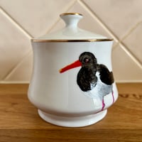 Image 2 of Pied Oystercatcher Sugar Pot