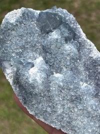 Image 9 of Morandi Fluorite Specimen #2627
