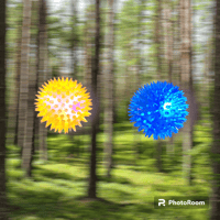 Image 4 of Squeaky Ball Toys