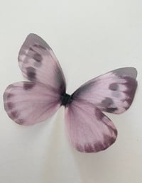 Image 1 of Sassy (Larger single butterfly)