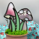 Pink Potted  Shrooms 
