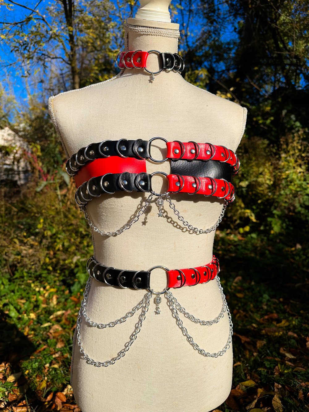 Black/Red Leather Harness Set