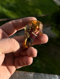 Image 4 of Queen of Rot tear 