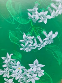 Image 4 of 🌿“Madagascar Jasmine”- Original Botanical Drawing