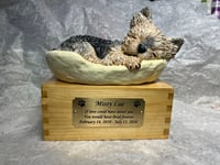 Image 22 of Custom Engraved Yorkie Urn Yorkshire Terrier In Bed Pet Portrait Handmade
