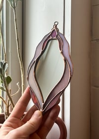 Image 3 of Cosmos (mini)