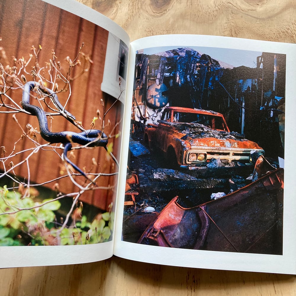 Jake Reinhart - Laurel Mountain Laurel