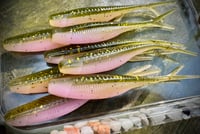 Image 1 of Tracer Shads - RAINBOW TROUT
