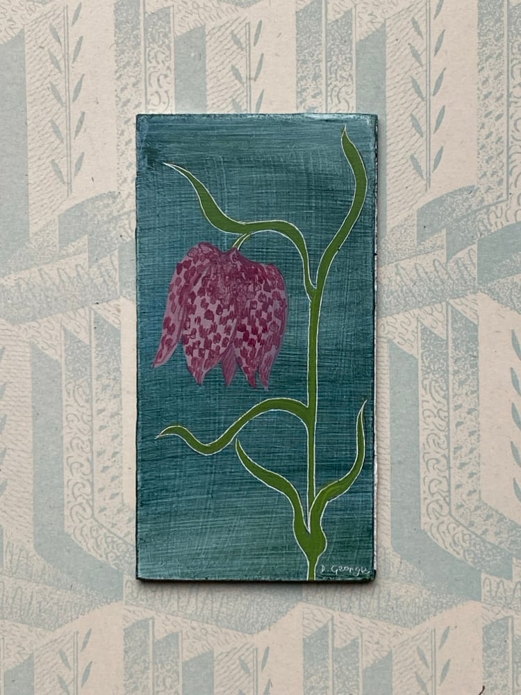 Image of Fritillary (A)