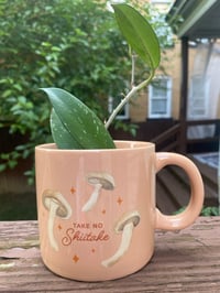 Image 1 of Hoya Pubicalyx in Cute "Take no Shitake" Mug