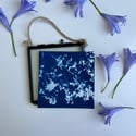 Petals - Mini Framed Cyanotype