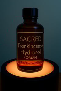 Image 2 of SACRED Frankincense Hydrosol