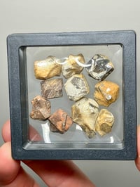 Image 3 of Staurolite Maltese Cross Crystals in Matrix | Mt Isa QLD Australia #2781