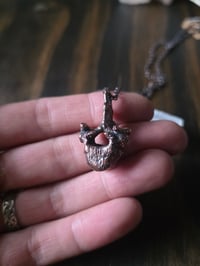 Image 1 of Porcupine vertebra