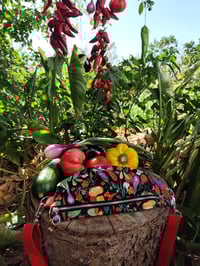 Image 4 of Riñonera HUERTA negro