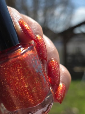 Image of Little box of Horrors 