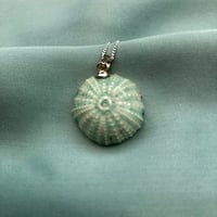 Sea Urchin ceramic pendant
