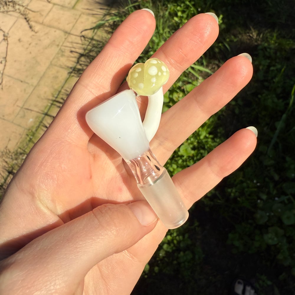 Image of Heart Mushroom Slides