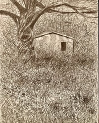 Image 1 of Cabin under the Ash
