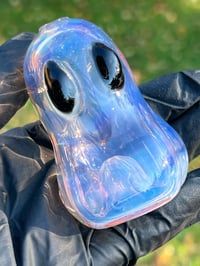 Image 7 of Ghost Pipes