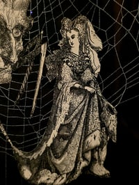 Image 3 of 1800s Gustave Dore Spiders - with real preserved webs -E