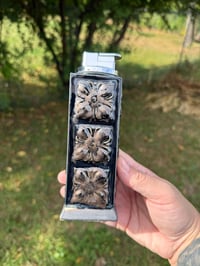 Image 1 of Black and Gold Lighter