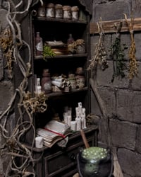 Image 3 of The Witch’s Apothecary