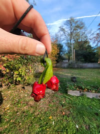 Image 8 of Cadmium Red Skull Cherries