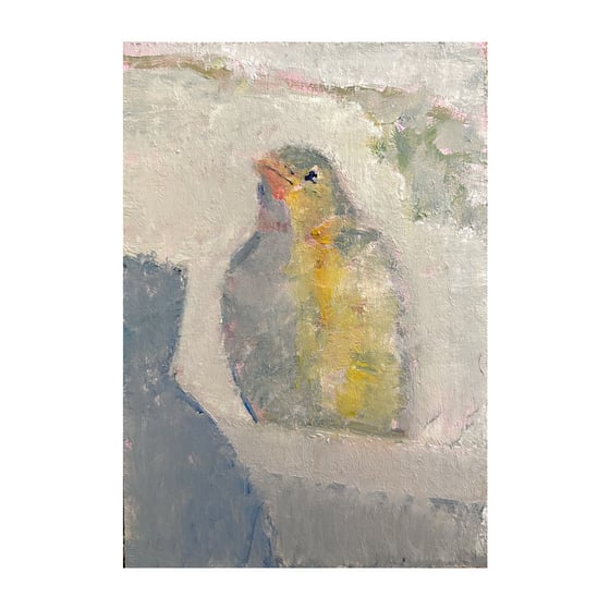 Image of ‘Bird at My Window’