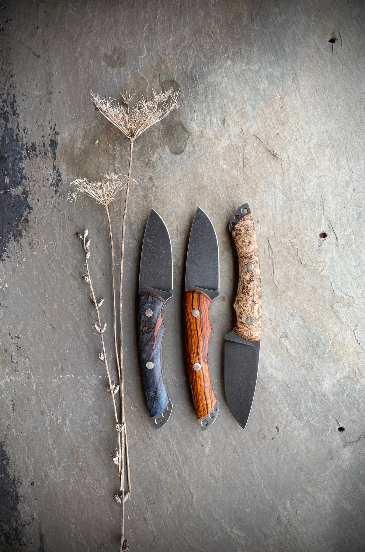 Image of Bear Paw