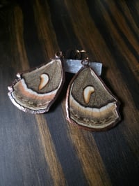 Image 4 of Cecropia Moth Wing Earrings #2