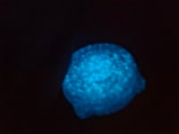 Image 4 of Shadow Glow in The Dark Carb Tops. 