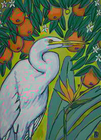 Image 4 of FLA Native Birds Cards | set of 5