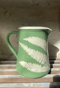 Image 1 of Large Jug - green ladder fern