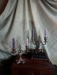 Image 3 of Magnifique paire de chandeliers en bronze plaqué argent, style rocaille, fin XIXème siècle