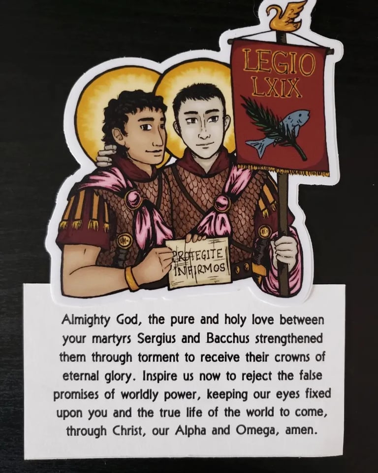 The Gay/Lesbian Solidarity Pack Image 2