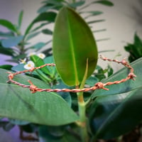 Image 2 of Barbed Wire Choker- Copper