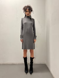 Image 1 of Rick Owens Lilies Turtleneck Dress - Size 6