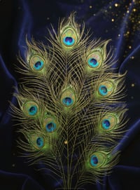 Natural Iridescent PeacockFeathers