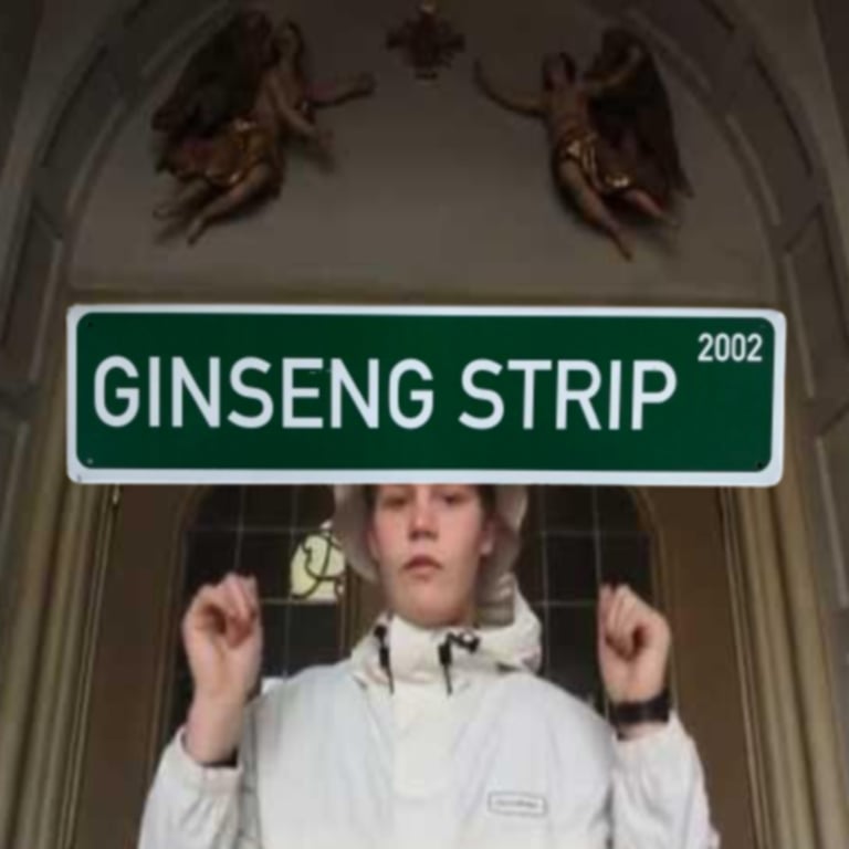 the ginseng strip street sign Image 2